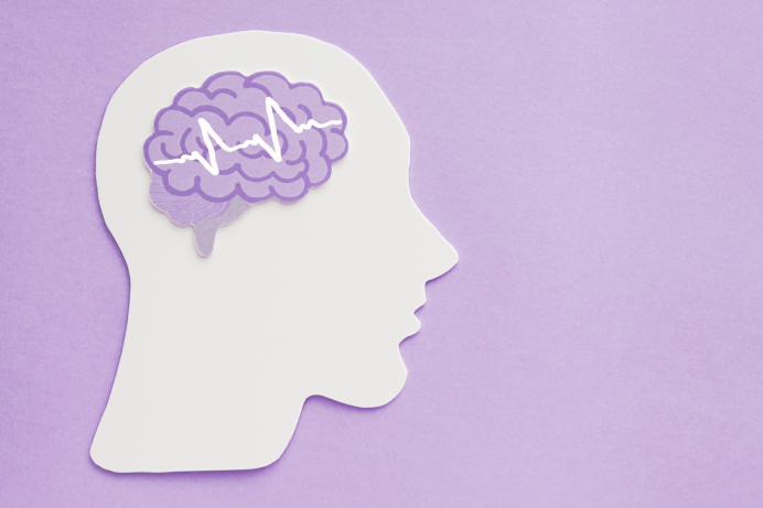 encephalography-brain-paper-cutout-purple-background-epilepsy-alzheimer-awareness-seizure-disorder-mental-health-concept